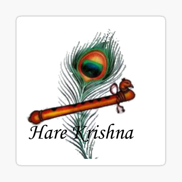 Hindu God Krishna Light Switch Sticker vinyl cover decal 115 