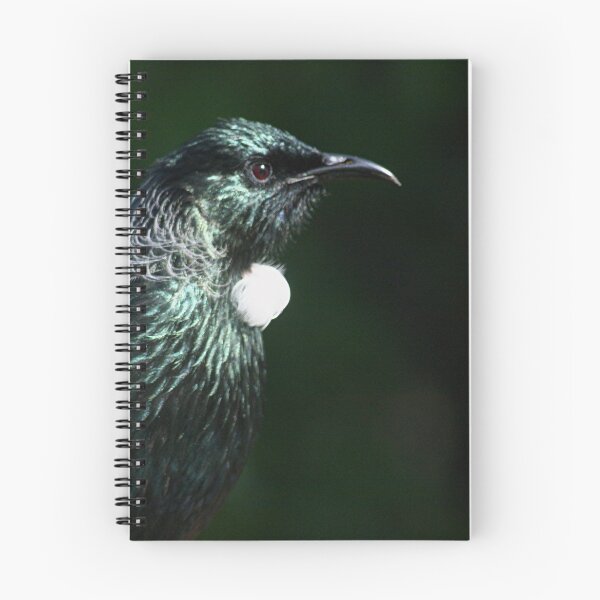 Item preview, Tui's profile at his best.........! designed and sold by Roy  Massicks.