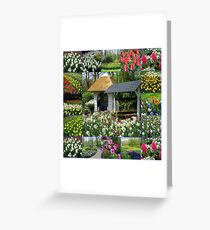 Wishing Well - Colourful Keukenhof Collage Greeting Card