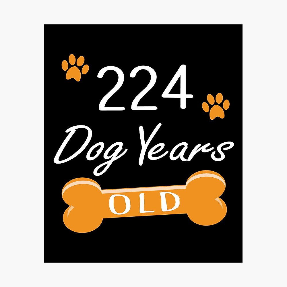 Poster 224 Ans De Chien Drole 32e Anniversaire Chiot Amoureux Impression Par Grabitees Redbubble