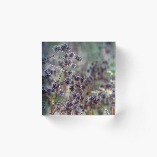 Autumn days Acrylic Block