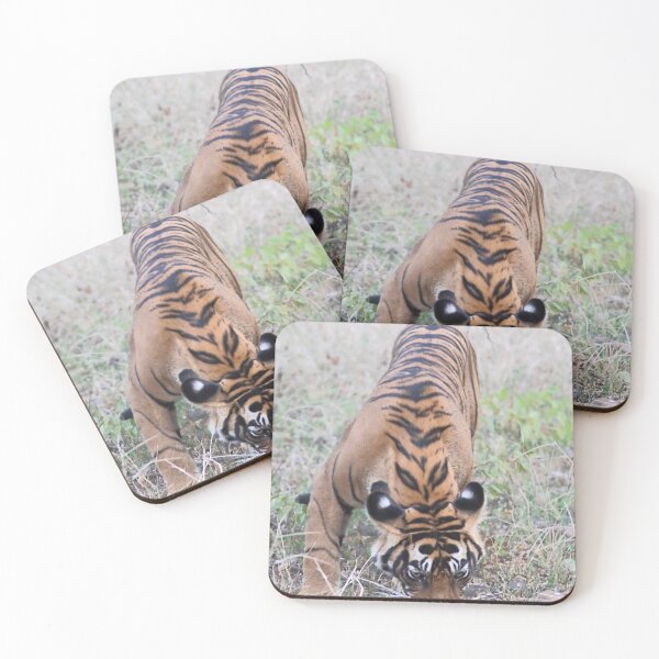 Item preview, Young Bengal Tiger designed and sold by Carole-Anne.