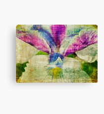 Iris Abstract Canvas Print