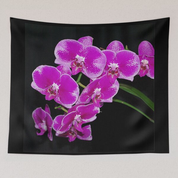 Item preview, Beautiful spray of orchid flowers designed and sold by rvjames.