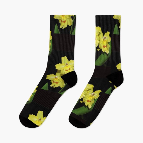 Item preview, Glorious Golden Orchid - Odontonia Yellow Parade Alpine designed and sold by rvjames.