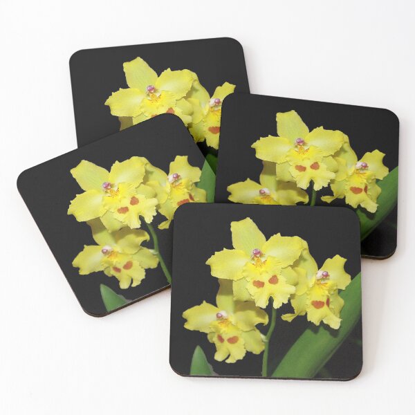 Item preview, Glorious Golden Orchid - Odontonia Yellow Parade Alpine designed and sold by rvjames.