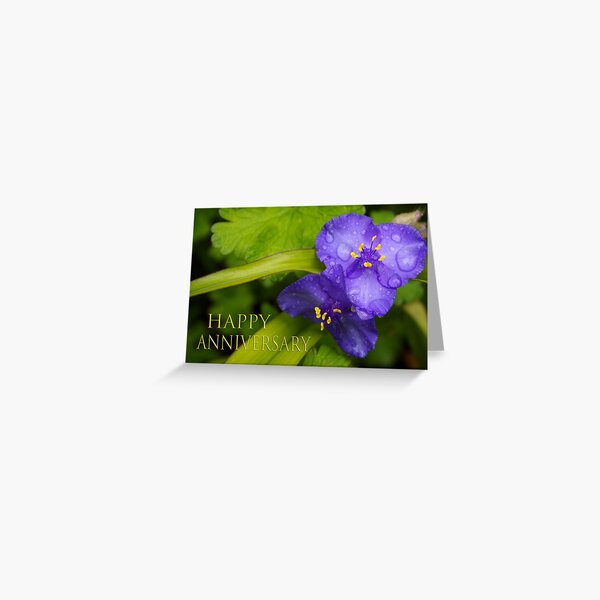 pretty blue pair anniversary card Greeting Card