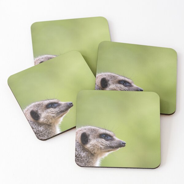 Item preview, Slended tailed meerkat designed and sold by wellsie82.