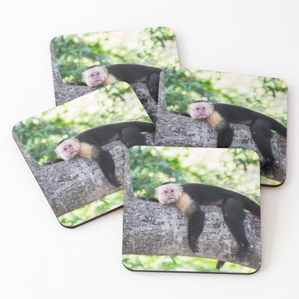 Item preview, White-faced capuchin rests after food designed and sold by wellsie82.