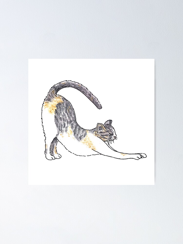 illustrated-short-hair-tri-color-tabby-kitty-cat-poster-by-busybee