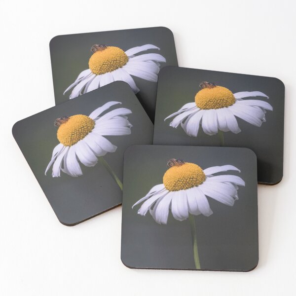 Item preview, On Top of the World - Fine Art Japanese Flower designed and sold by Jordan McChesney.