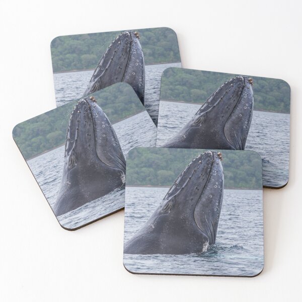 Item preview, Close-up of a humpback whale breaching designed and sold by wellsie82.