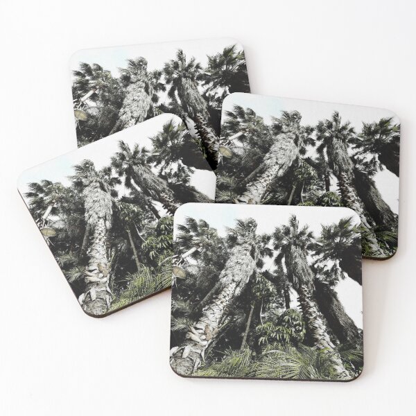 Item preview, Tropical Palm Trees designed and sold by mn-imagerie.