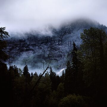 Artwork thumbnail, Avalanche Creek, Glacier N.P., Montana by Rodney Johnson