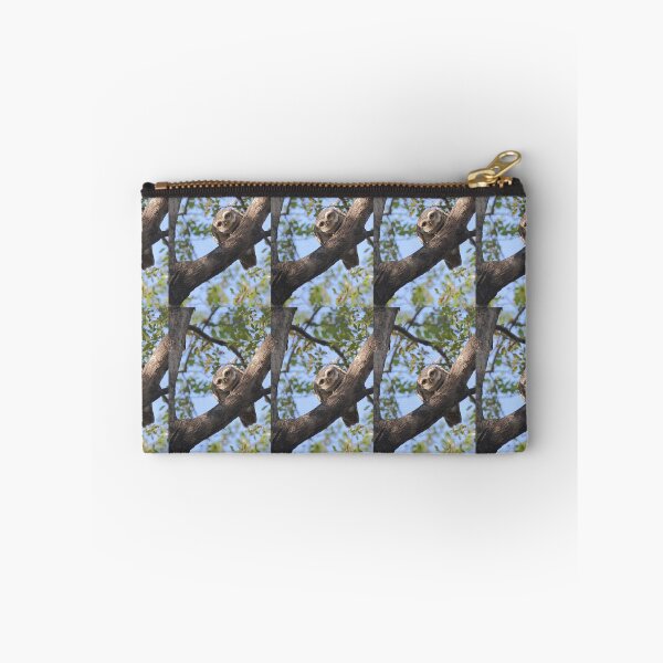 Item preview, Spotted Owlet designed and sold by Carole-Anne.