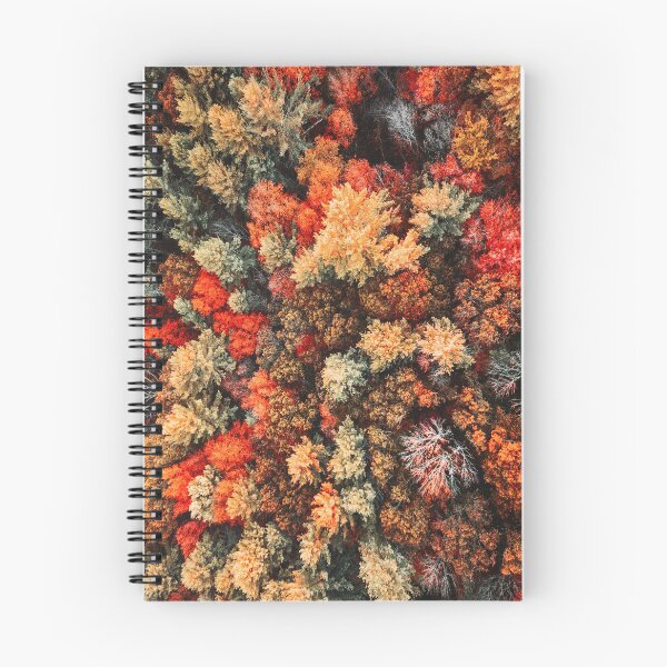 Item preview, autumn tree in new england designed and sold by franckreporter.