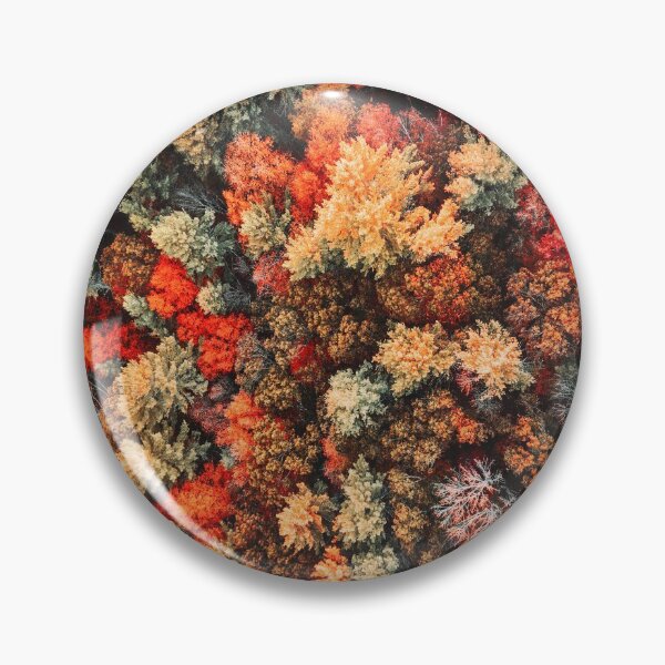 Item preview, autumn tree in new england designed and sold by franckreporter.