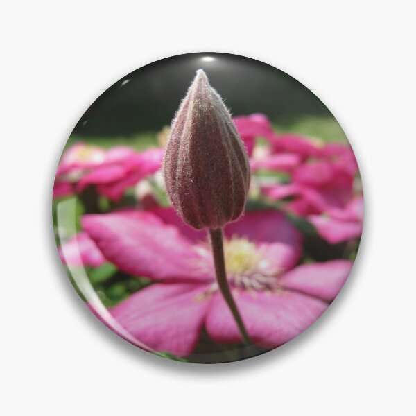 Item preview, Budding designed and sold by Elizabeth Burton.