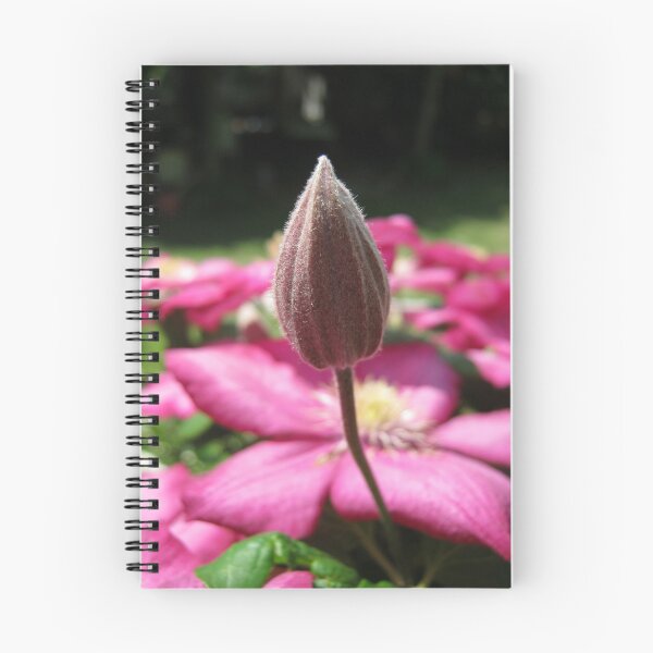 Item preview, Budding designed and sold by Elizabeth Burton.