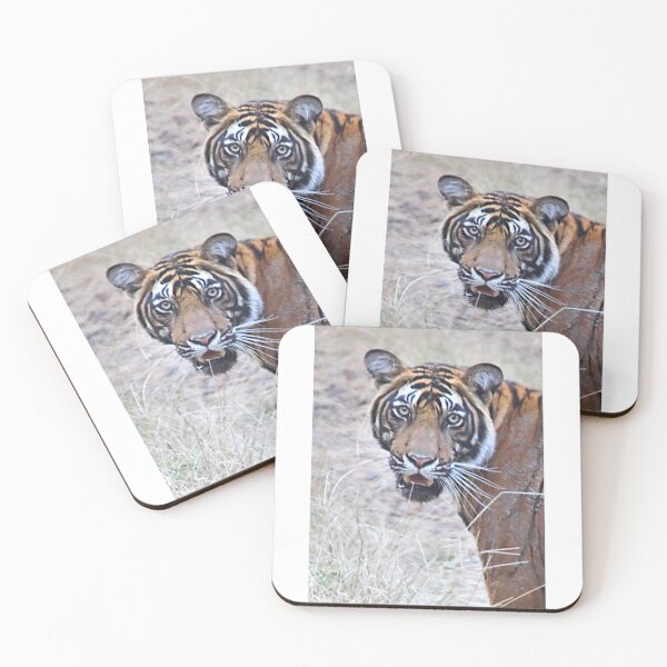 Item preview, Young Male Tiger Closeup designed and sold by Carole-Anne.