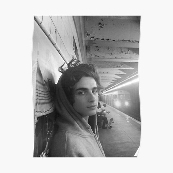 Timothee Chalamet Aesthetic Poster