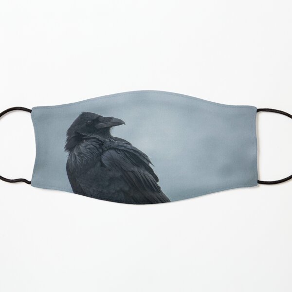roblox crow mask