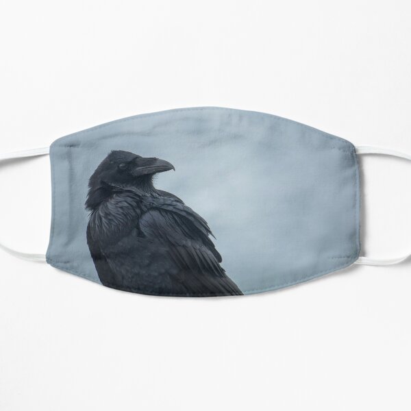 Crow Mask