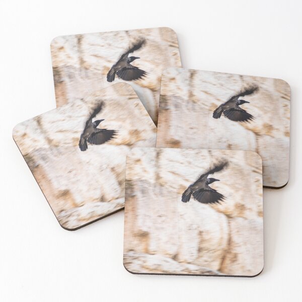 Item preview, Bird Flying at the Western Wall designed and sold by Joshua Cahn.