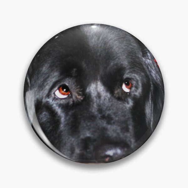 Item preview, Abby (Newfoundland Dog) designed and sold by Laurie Minor.