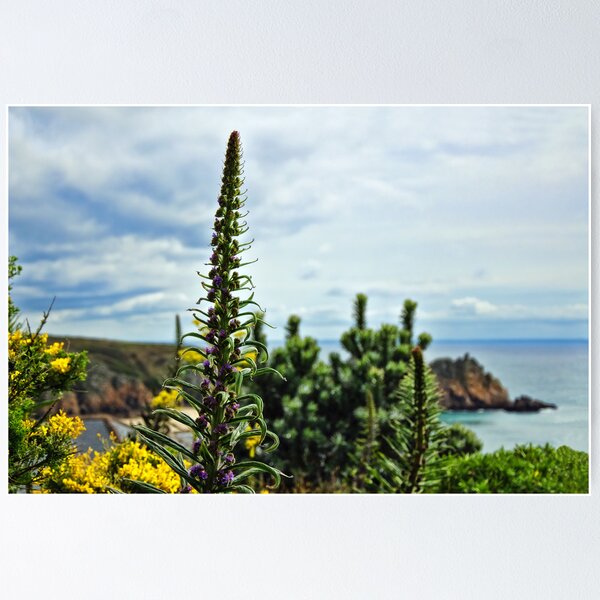 Item preview, A View From The Minack designed and sold by Dorset Girl.