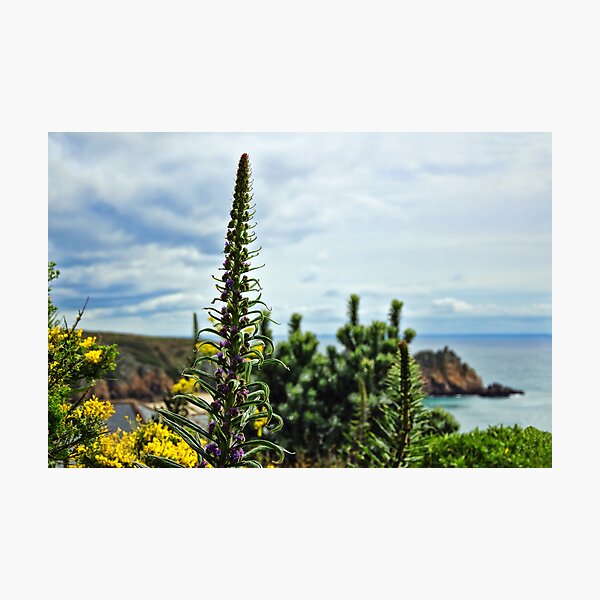 Item preview, A View From The Minack designed and sold by Dorset Girl.