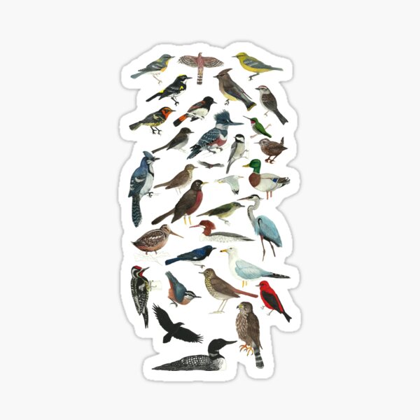 Bird Fanatic Sticker