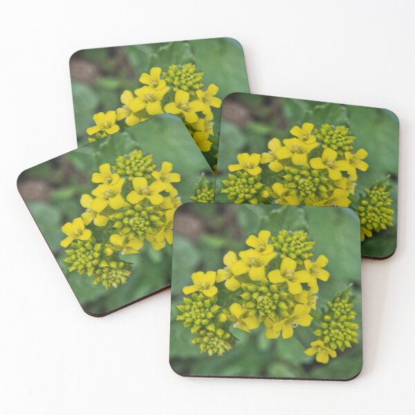 Item preview, Wild Mustard designed and sold by LynyrdSky.