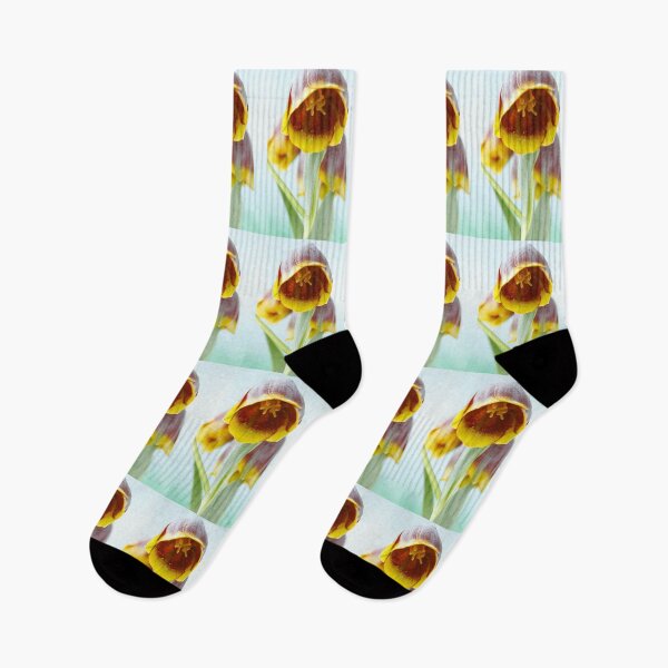 Item preview, Fritillaria michailovskyi   Michailovski fritillary  designed and sold by Chris Burrows.