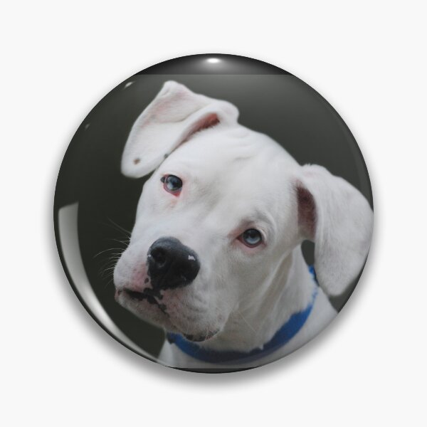 Item preview, "Will this pose do....?" designed and sold by Laurie Minor.