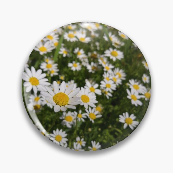 Item preview, Daisy's Dream designed and sold by phoebeshorter5.