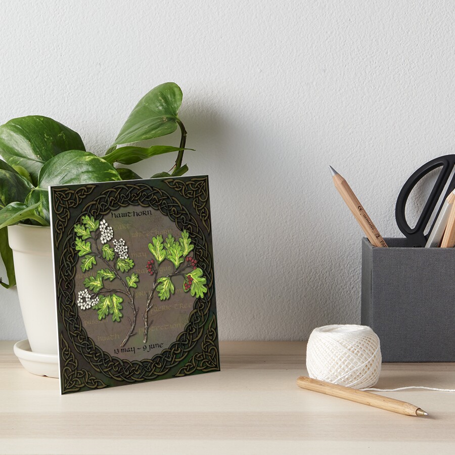 Celtic Tree Calendar - Hawthorn Art Board Print