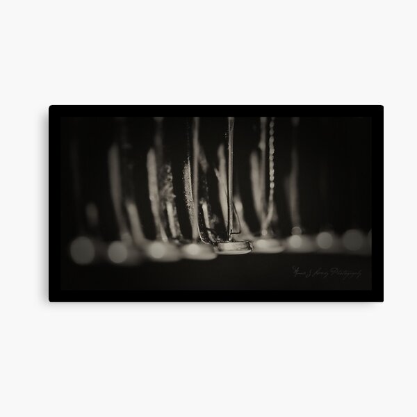 Needles Canvas Print
