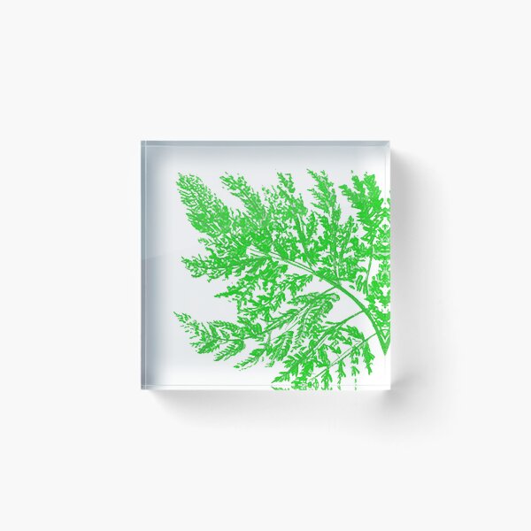 Item preview,  fern designed and sold by FoxsJob.