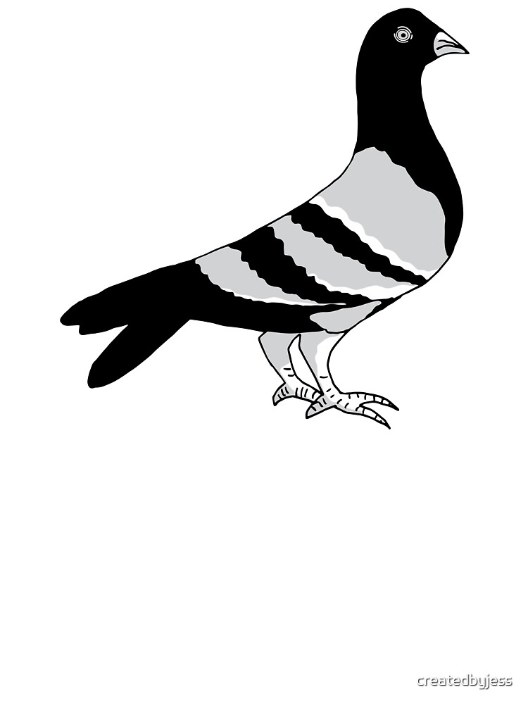 How To Draw A Pigeon - Art For Kids Hub -