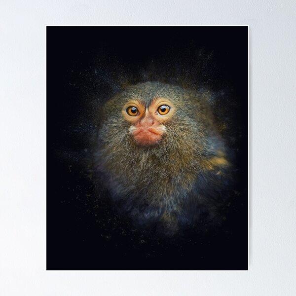 Item preview, Portrait of a pygmy marmoset designed and sold by Pearcatprod.