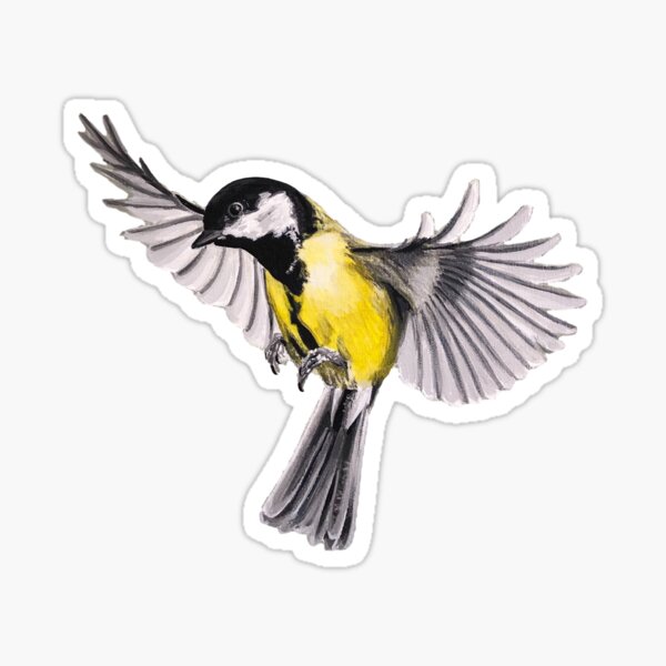 4x Round Stickers 10 cm - Great Tit Small Bird #45208