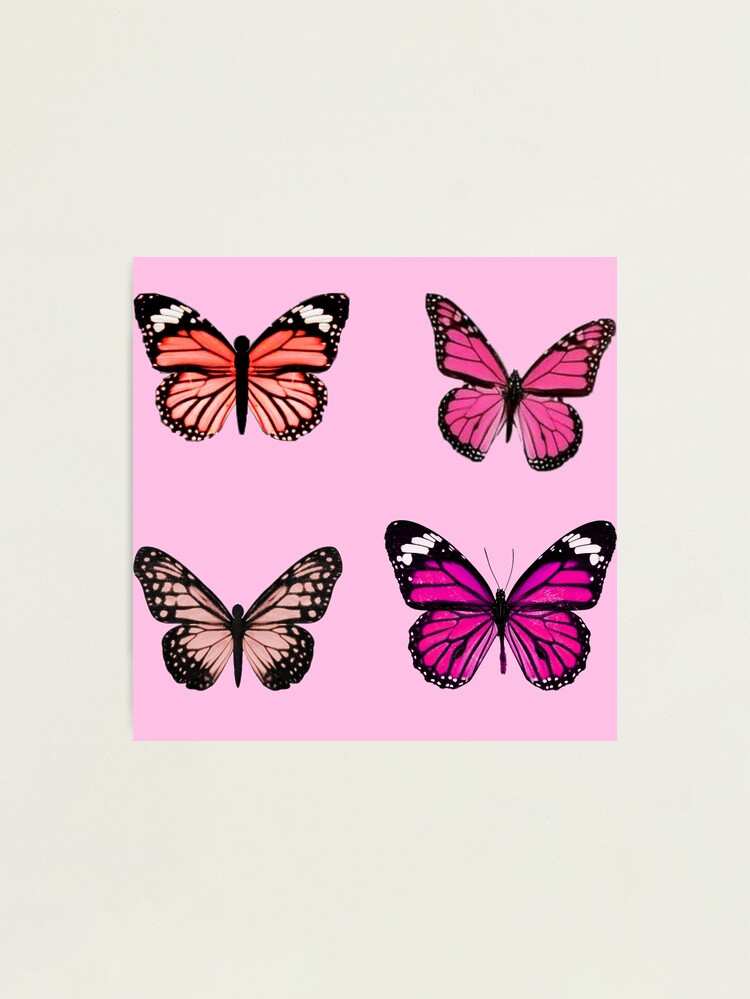 Pink Metallic Butterfly