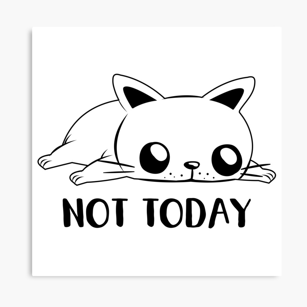 cat not today