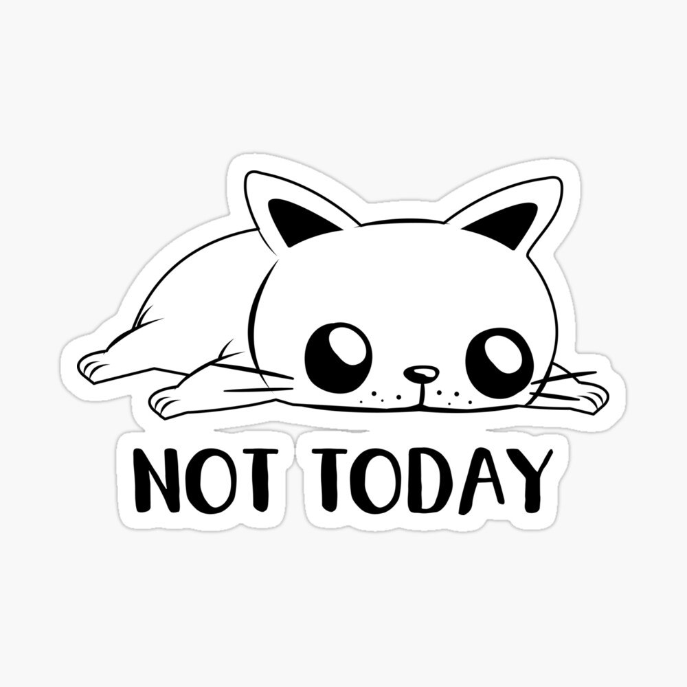 not today cat