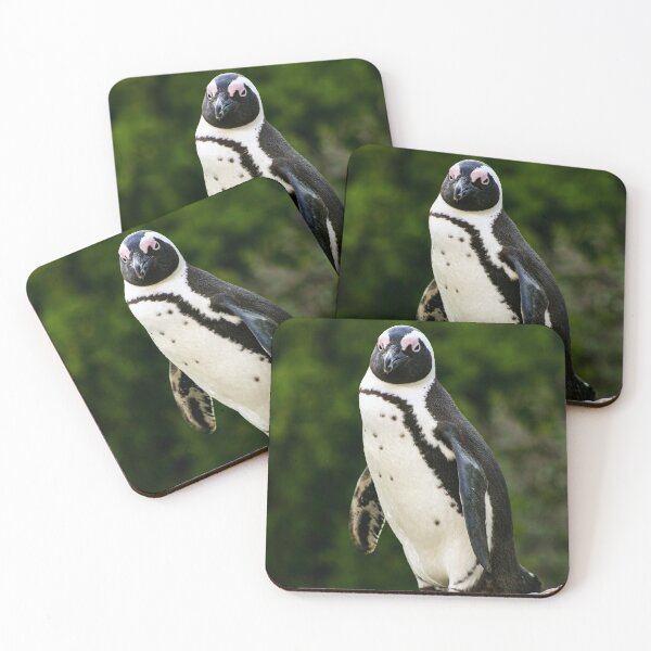 Item preview, African Penguin designed and sold by MJ-Piccys.