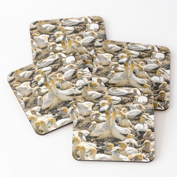 Item preview, Gannets designed and sold by MJ-Piccys.