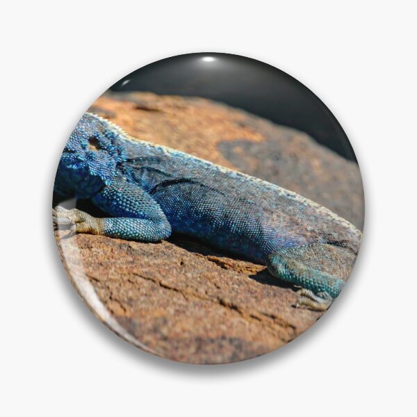 Item preview, Agama designed and sold by MJ-Piccys.