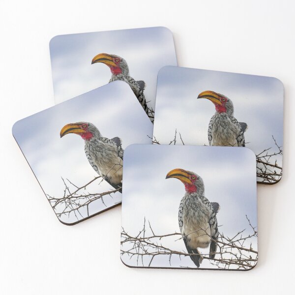 Item preview, Hornbill designed and sold by MJ-Piccys.