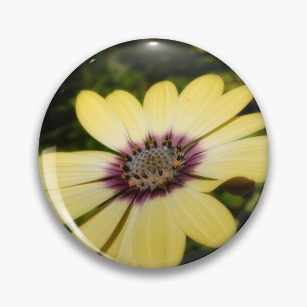 Item preview, African Daisy designed and sold by Richard Ion.